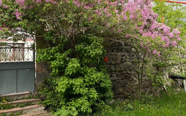 Soso Burduli's Guesthouse