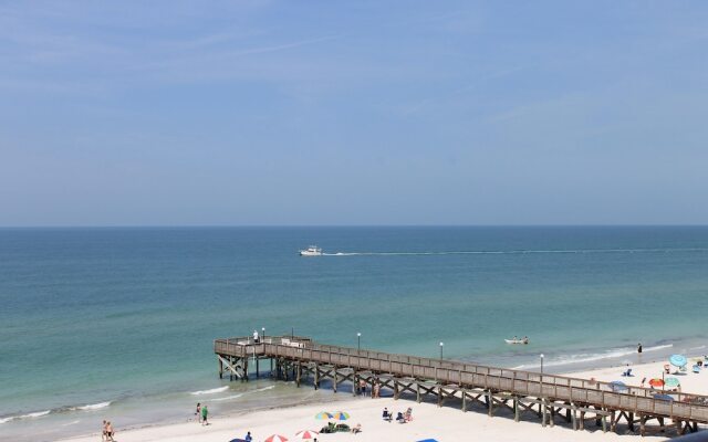 Beach Palms 505