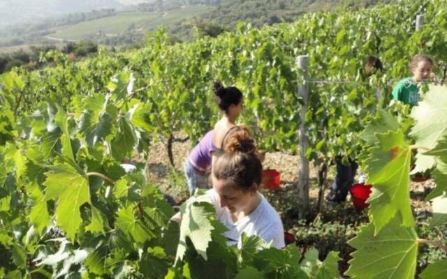 Verdidea - Mulino della Frateria