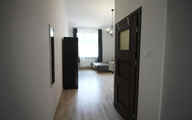 Studio Ali 1