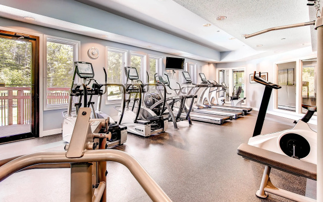 Sunrise - Timberline L-1