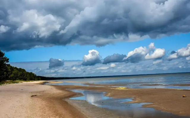 Atputas Vieta Braltirumi