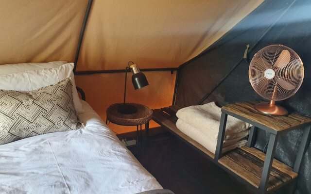 Bundox Explorer Camp