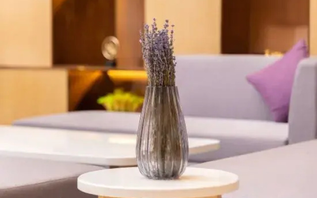 Lavande Hotel (Foshan Sanshui Datang Government Store)