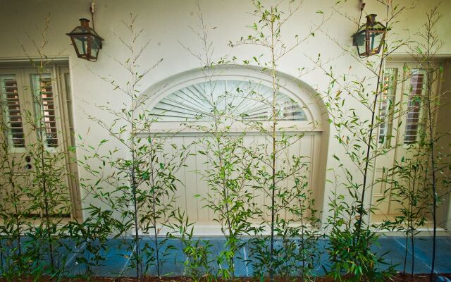 Melrose Mansion