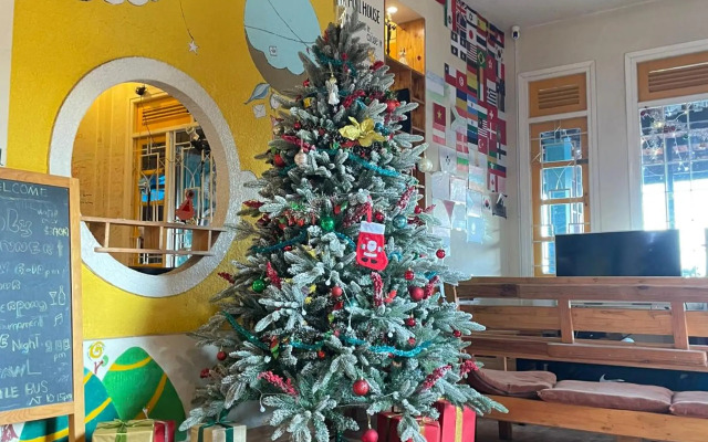 Tigon Dalat Hostel