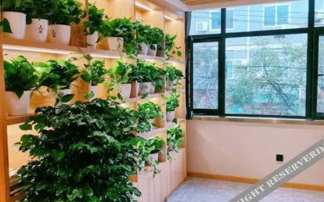 Meicheng Light Luxury Homestay (Xi'an Northwestern Polytechnical University Chang'an Campus)