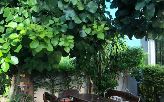 Panwalee Hotel