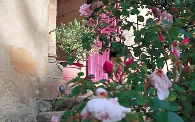 Chateau du Vallier superbe suite vignobles BORDEAUX