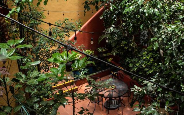 The Red Tree House