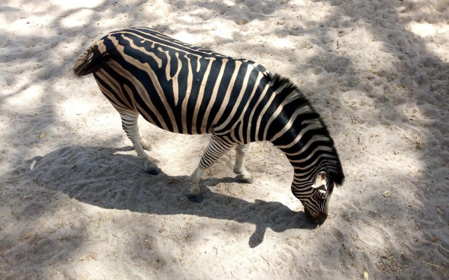 Sukuta Nema Guest House