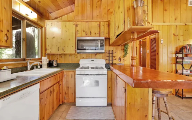 Sunny Bear Cabin #1970