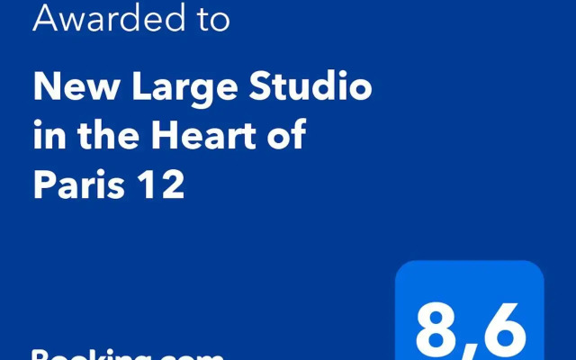 New Large Studio in the Heart of Paris 12