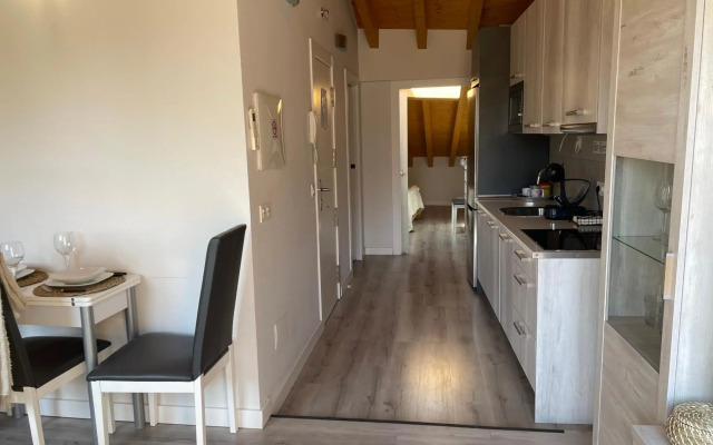 Apartamentos Aranda - Ático Duero