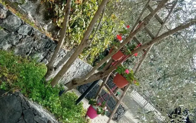 Azienda Agricola Cuntarati