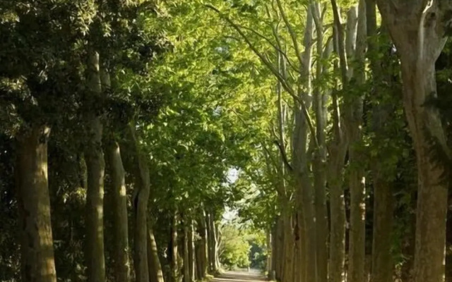Gîtes Pech-Céleyran