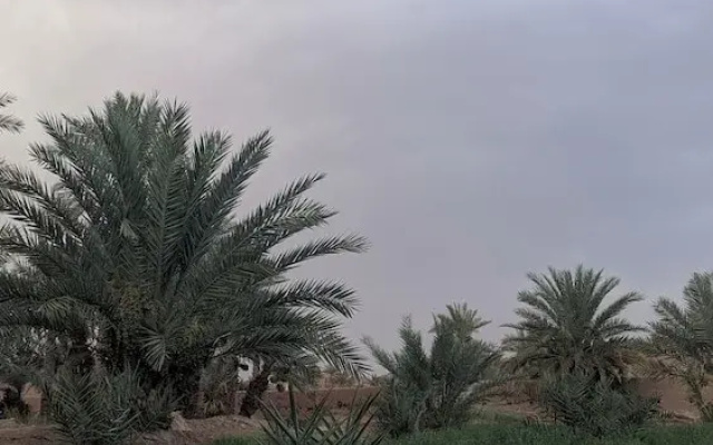 Kasbah Desert Camp