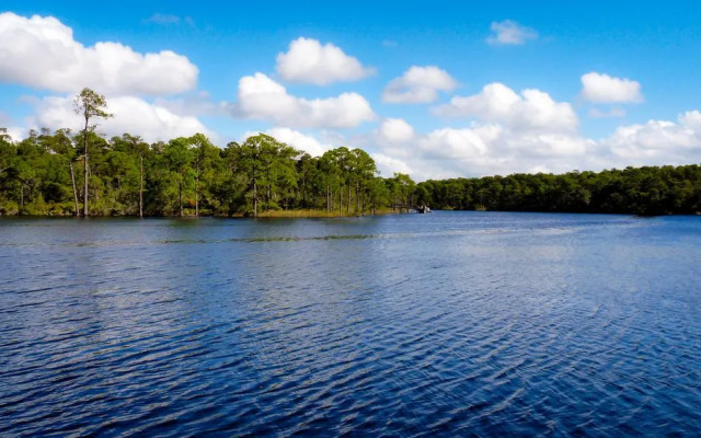 Southern Charm by RedAwning