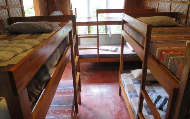 Lazy Lizard Hostel
