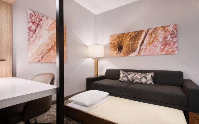 SpringHill Suites by Marriott Tifton