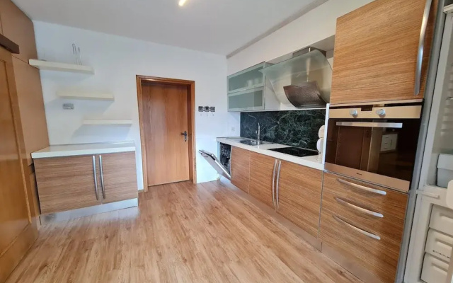 Wonderful Apartment Close to the ski Slope