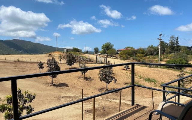 Palta 60 Valle de Guadalupe