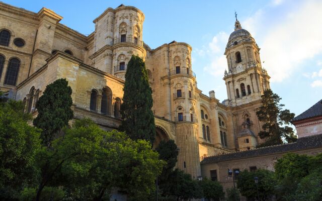 Frida Málaga Centro