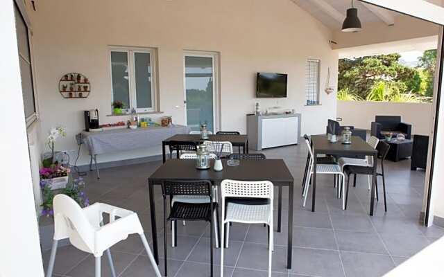 B&B Dionea