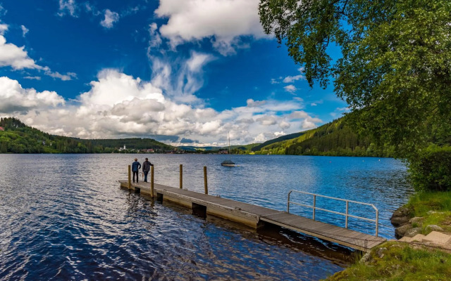Schwarzwaldhaus Krebs - Villa Kunterbunt, Lenzkirch, Feldberg