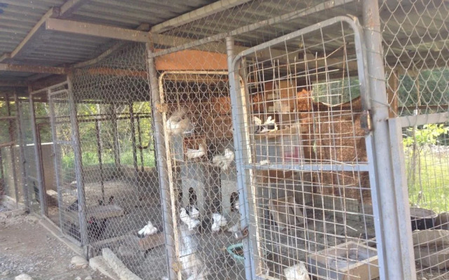 Rajskij Ugolok Guest House