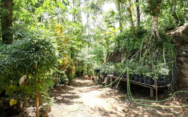 JIO Homestay