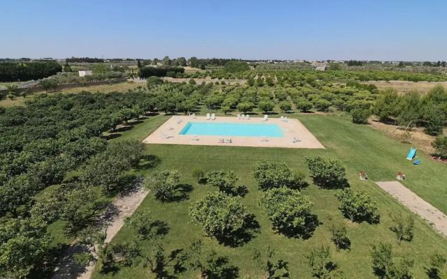 Triple Comfort Pink Grapefruit