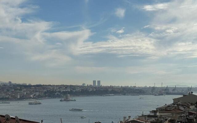 Roj Suite