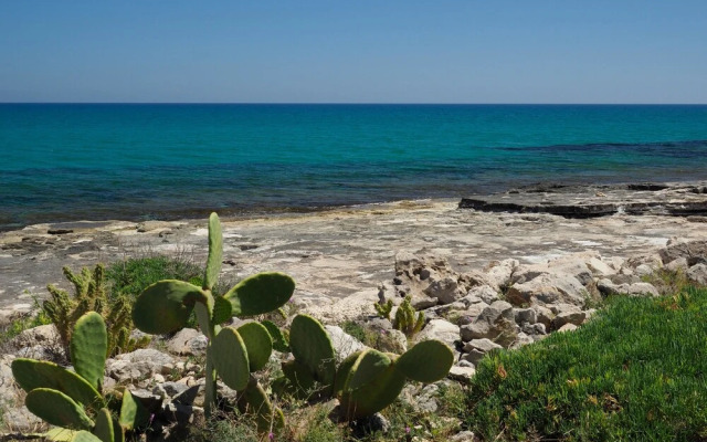 Cala Sol - Viola