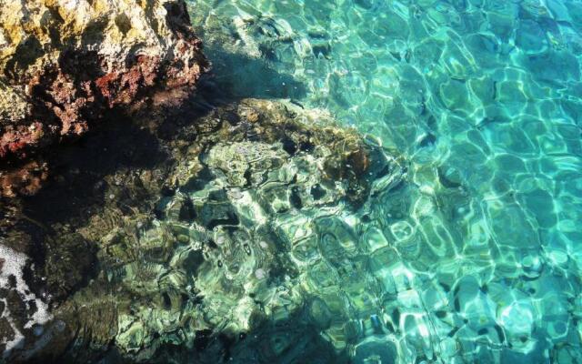 Adriatic Escape