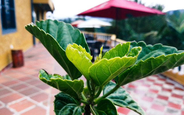 Vista Hermosa Centro Recreativo - Hostel