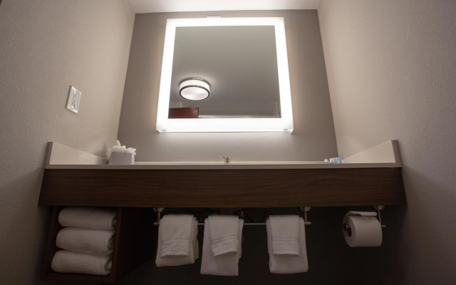 Holiday Inn Express & Suites Atlanta N-Perimeter Mall Area by IHG - фото 5