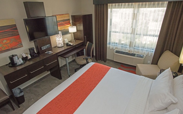 Holiday Inn New York-JFK Airport Area