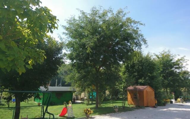 Tra i Campi Di Papaveri