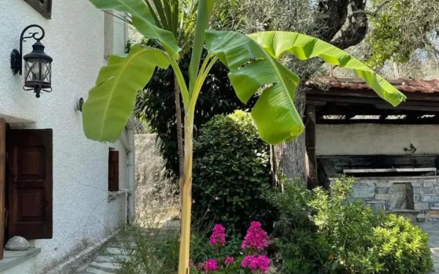 Villa Olive