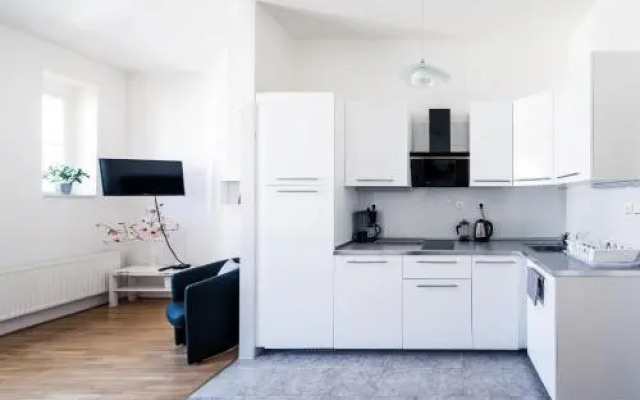Modern Apartment Riegrovy sady
