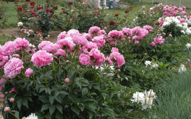Annville Inn Bed and Breakfast