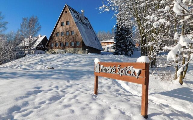 Garni hotel Horské Špicky