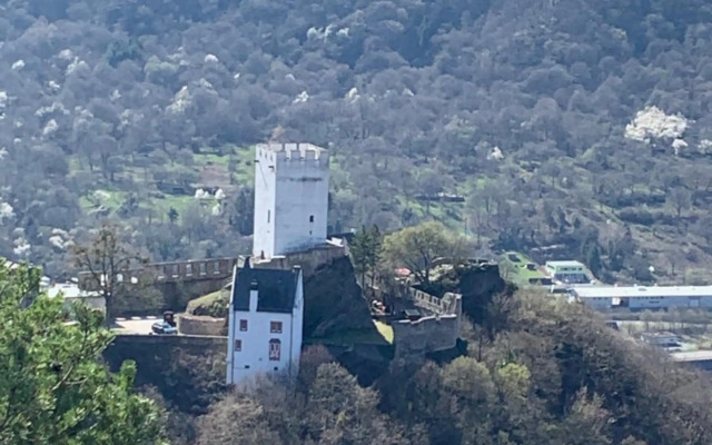 Idyllisches Zimmer in ruhiger Lage Boppard am Rhein
