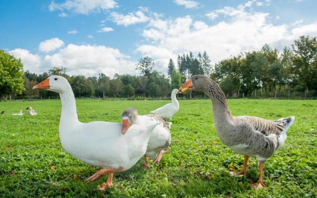 Hotel Hofgut Tiergarten