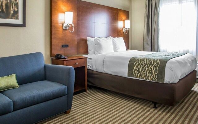 Comfort Inn- Hammond