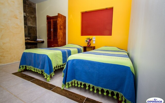 Experiencia Surf Camp - Hostel