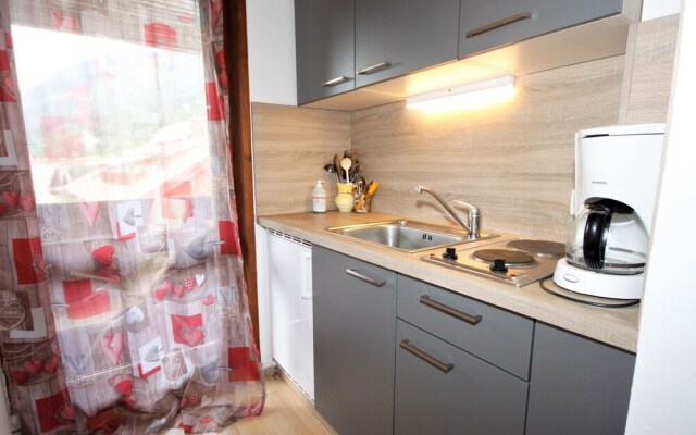 Appartement Ski und Therme 1 Bach