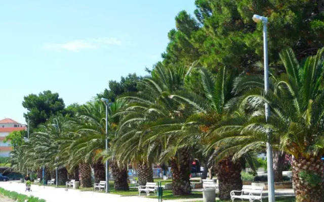 Apartments Frano