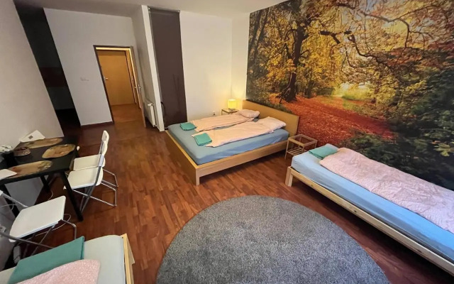 Apartment Spolkova